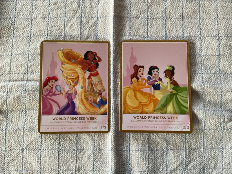 Carte Princesses 2025 - Disneyland