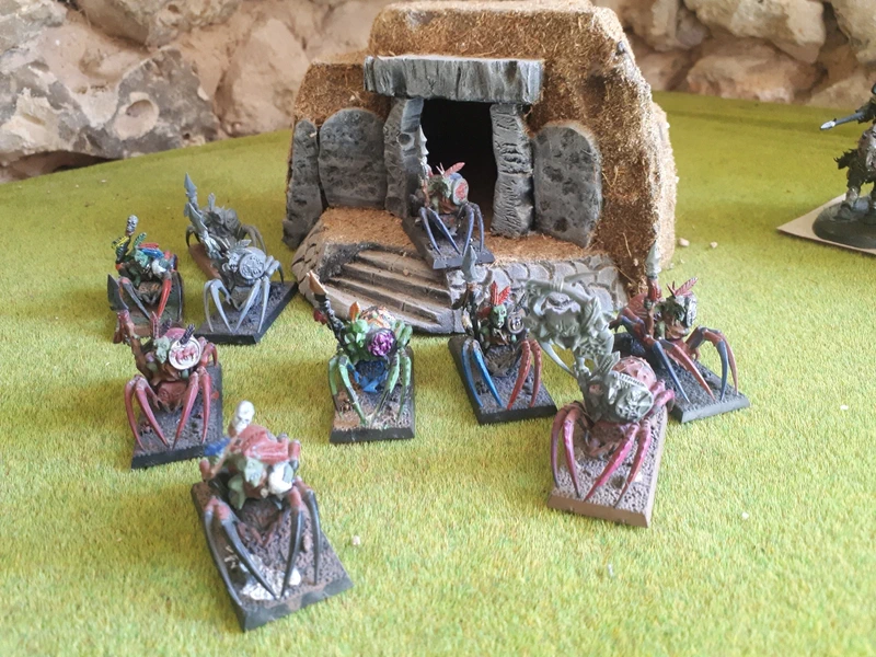 10 Chevaucheurs d'araignées gobelins warhammer