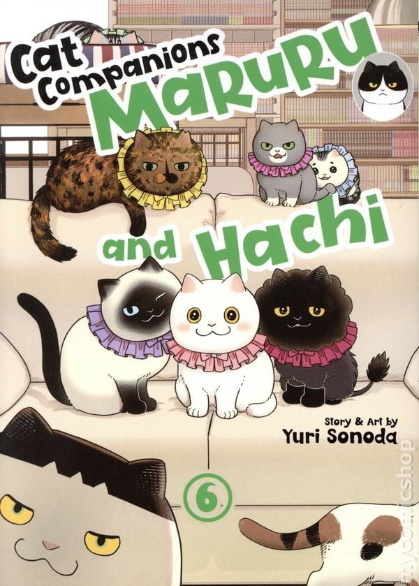 Compagni di Gatto Marurands Hachi GN #6-1° NM 2026 Immagine Stock