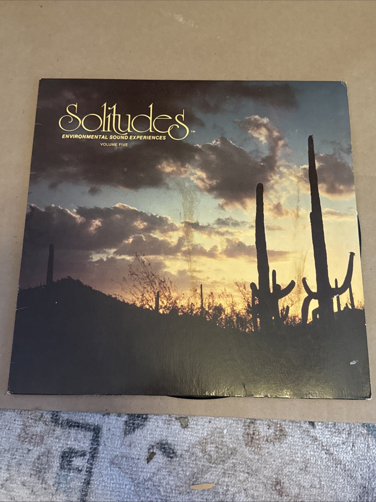 Dan Gibson - Solitudes - Environmental Sound Volume Five LP - 1981 Ambient