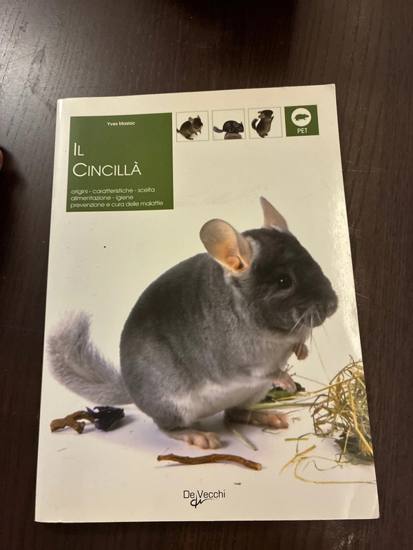 Libro cincilla