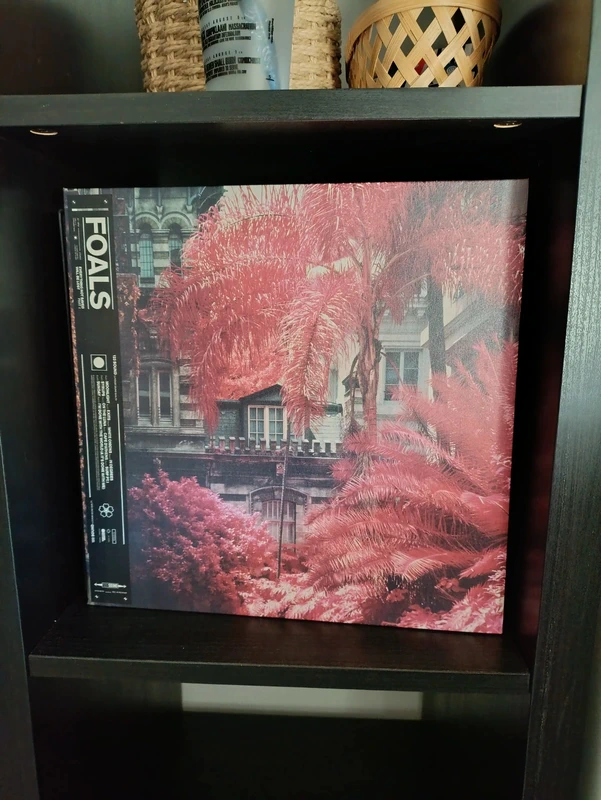 Foals - Everything Not Saved Will be Lost LP