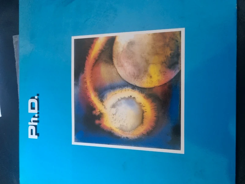 Ph.D. doctoraad vinyl