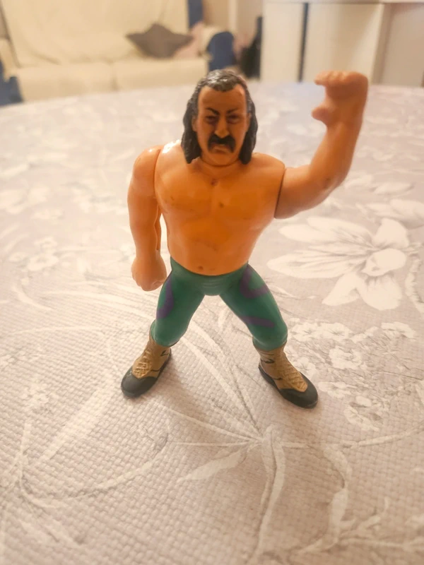 WWF Hasbro Jake The Snake Roberts Vintage anni '90 – Action Figure Wrestling