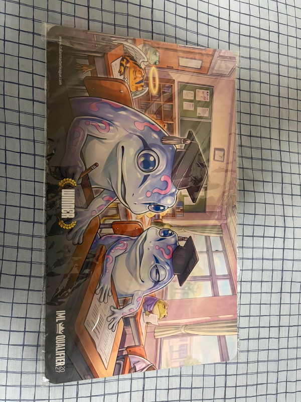 playmat iml winner