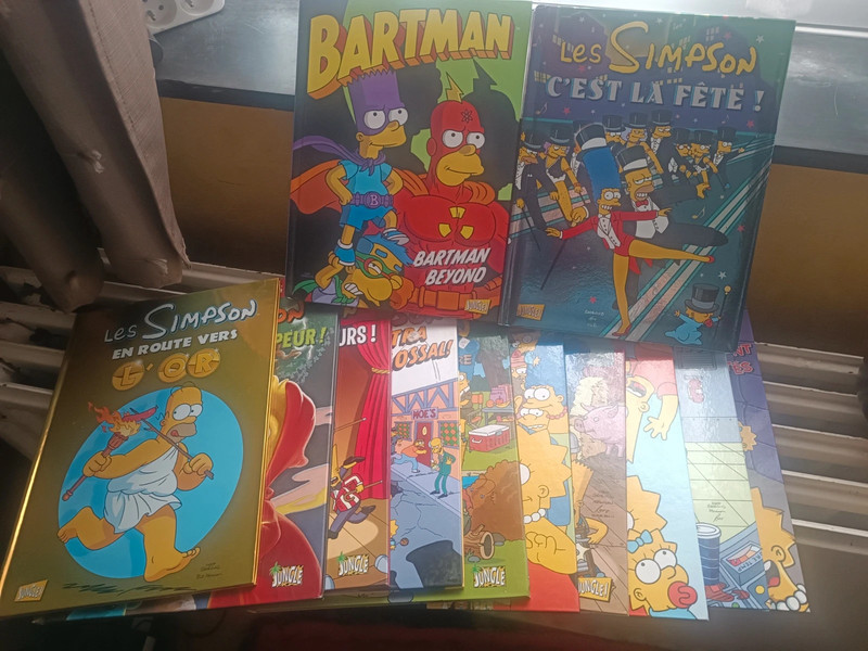 Lot de 12 bd les Simpson en français