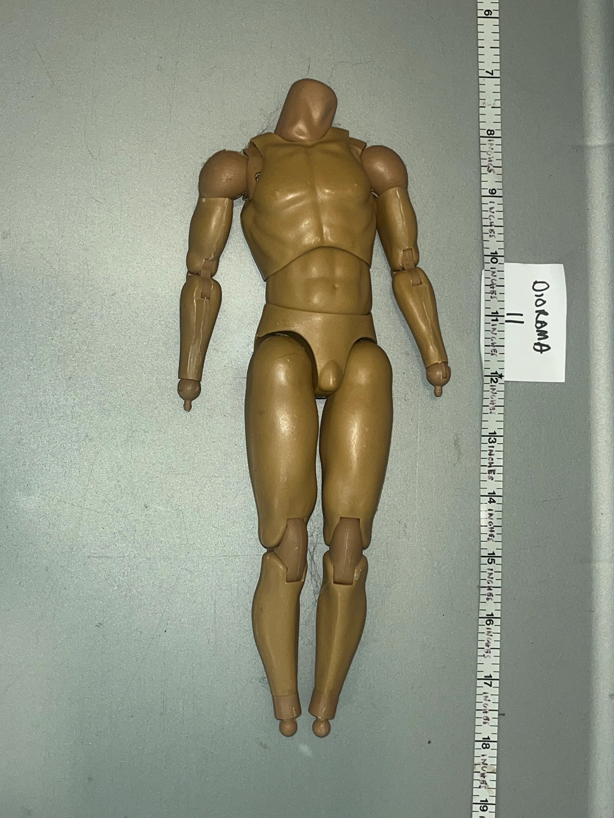 Modellino nudo base scala 1/6
