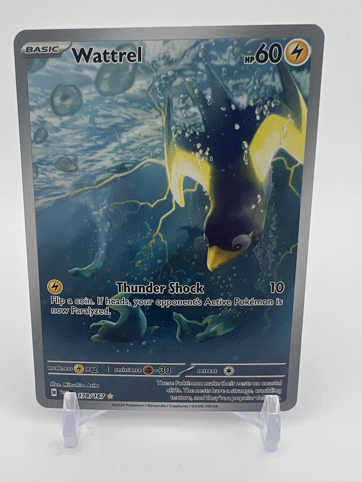Wattrel 178/167 Illustrazione Rara Maschera Crepuscolare Pokemon Holo Near Mint