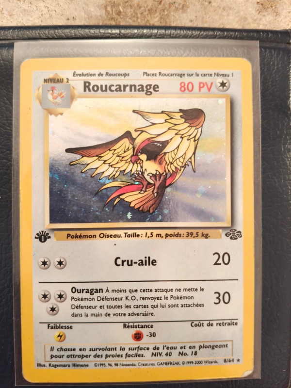 Vente roucarnage première édition