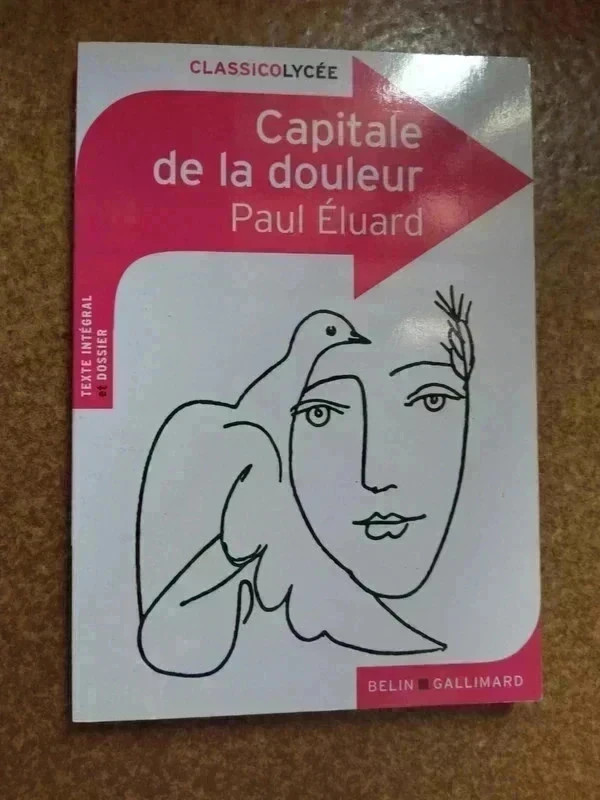 Capitale de la douleur