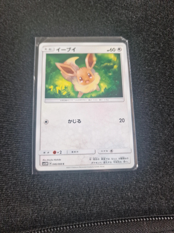Pokemon Eevee 046