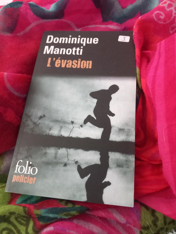 L'évasion   - Dominique manotti