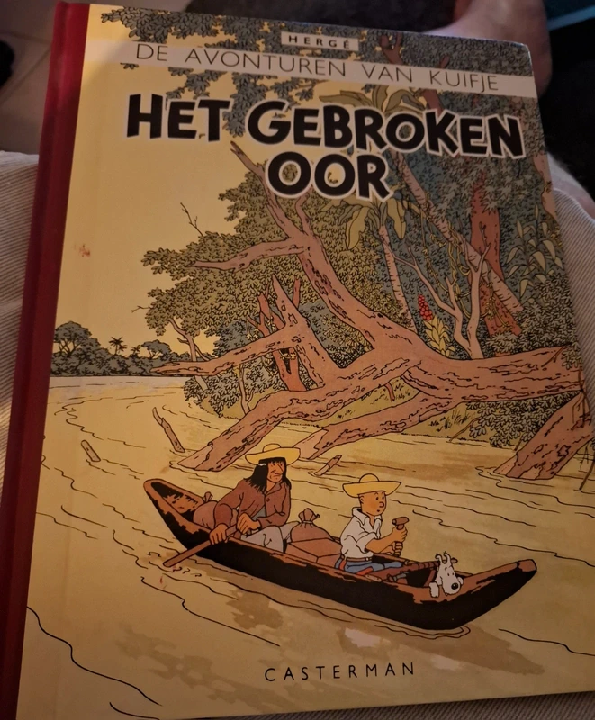 Het gebroken oor
