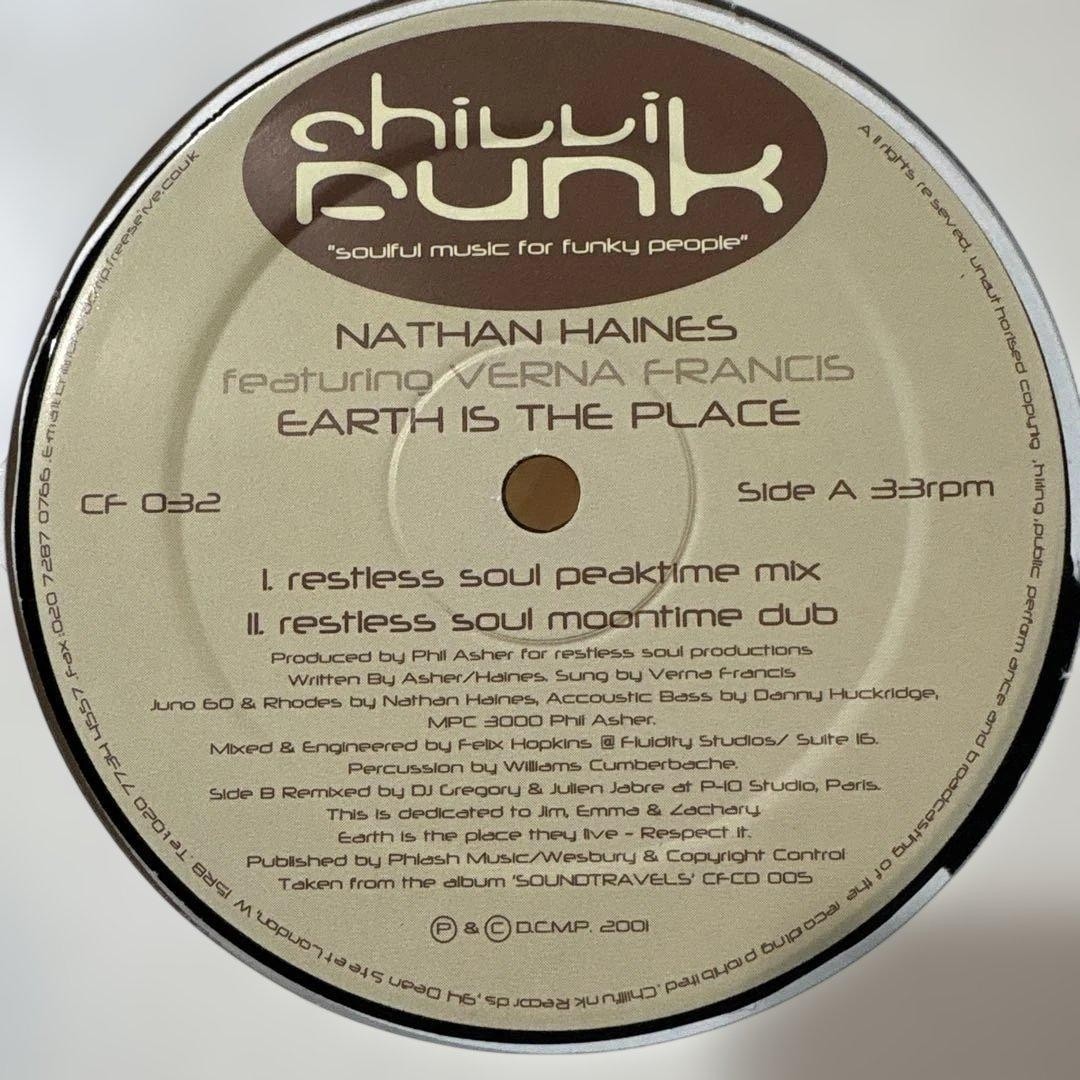 Nathan Haines Feat Verna Francis Earth Is The Place 12" Vinyl Deep House