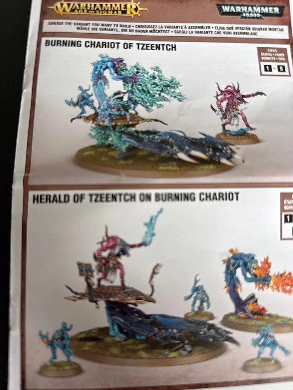 Warhammer Herald of Tzeentch on Burning Chariot #1