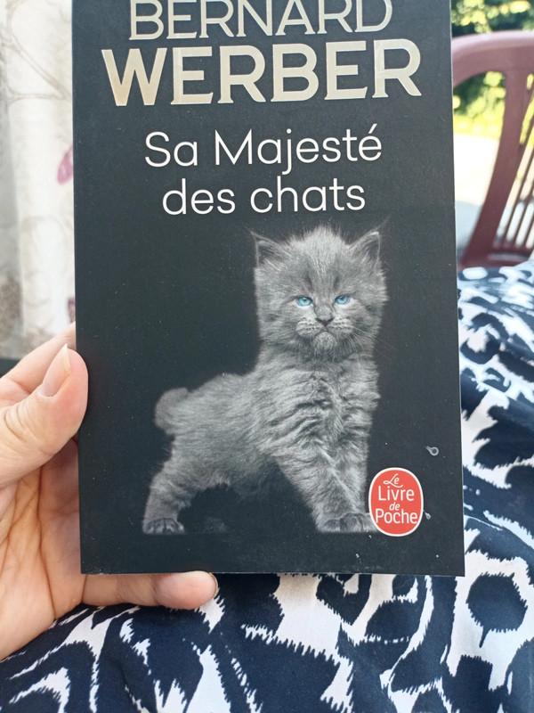 Sa majesté des Chats