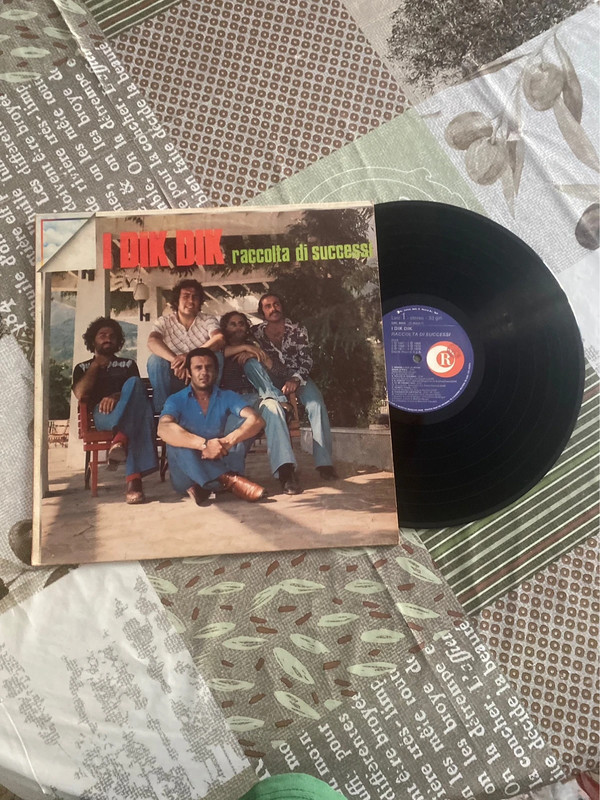 I dik dik raccolta di successi vinile 33 giri originale
