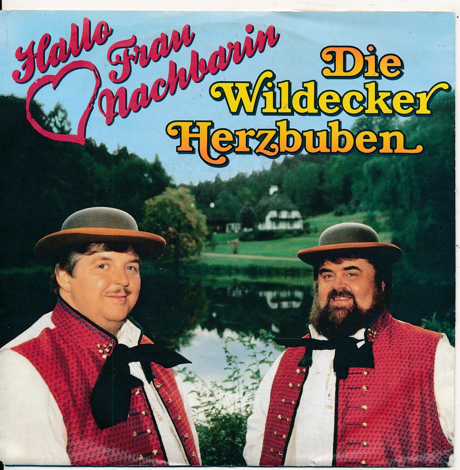 Hallo Frau Nachbarin - Die Wildecker Herzbuben - Single 7" Vinyl 272/07