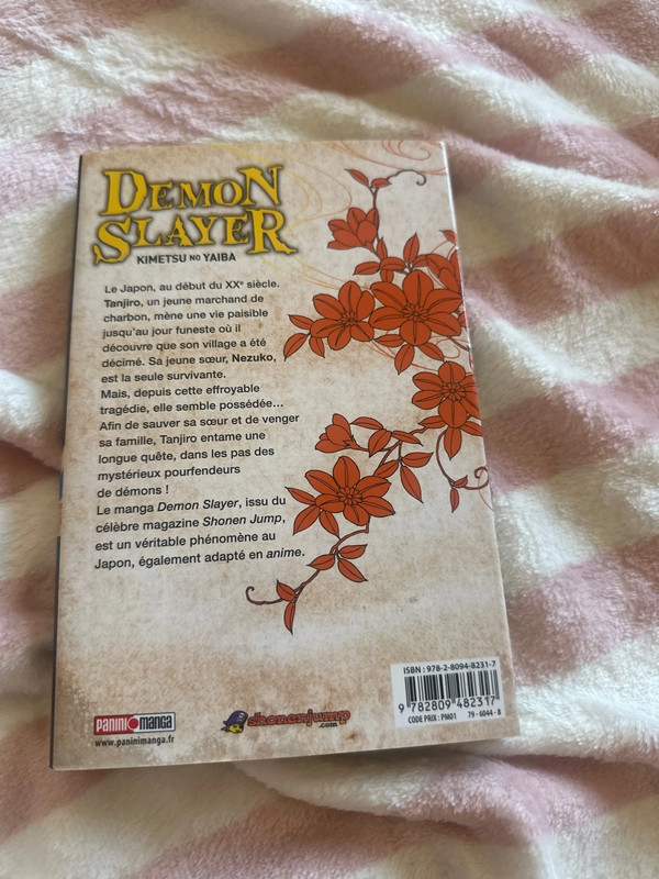 T 1 démon slayer