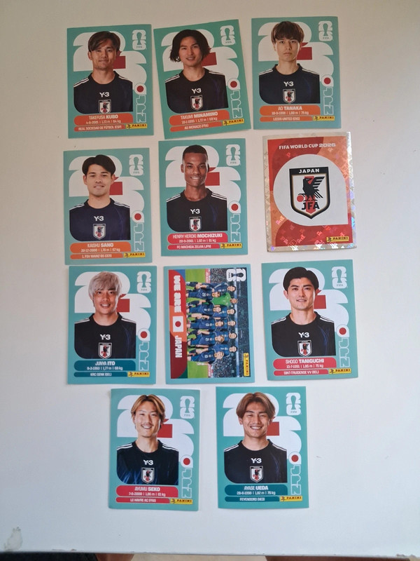 Carte panini coupe du monde