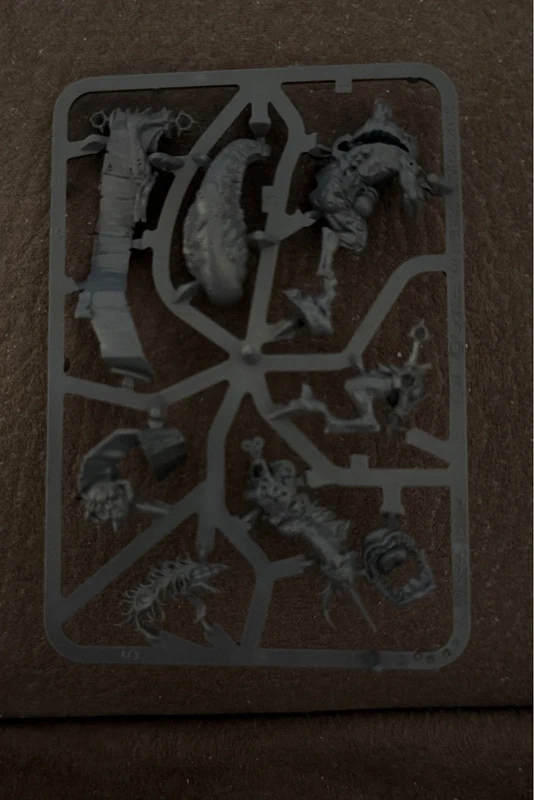 Age of Sigmar Spoilpox Scrivener