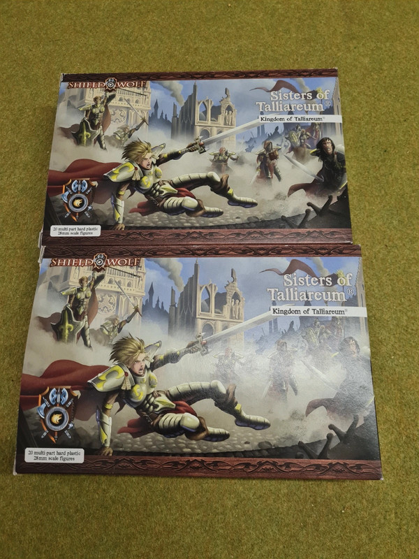 Shieldwolf Miniatures Sisters of Talliareum