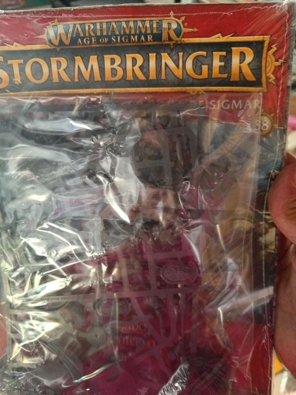Warhammer stormbringer 5 vindicadores 38#