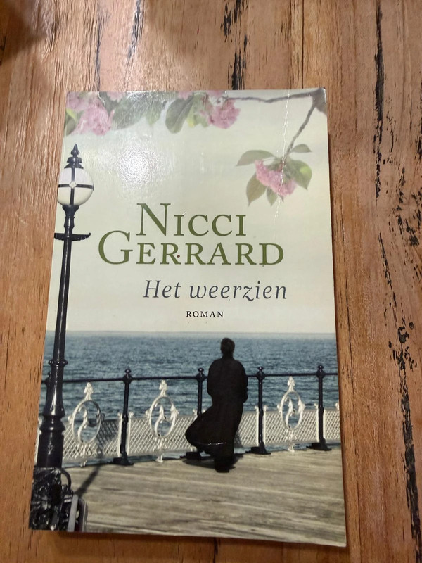 Boek: Het weerzien