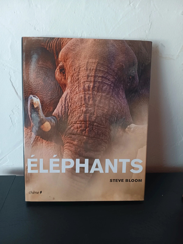 Eléphants