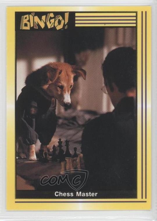Pacific Bingo 1991! Film Shess Master #71 0b6