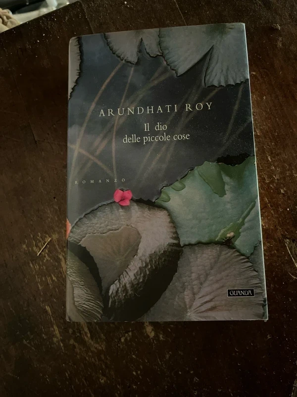 Il dio delle piccole cose - Arundhati Roy