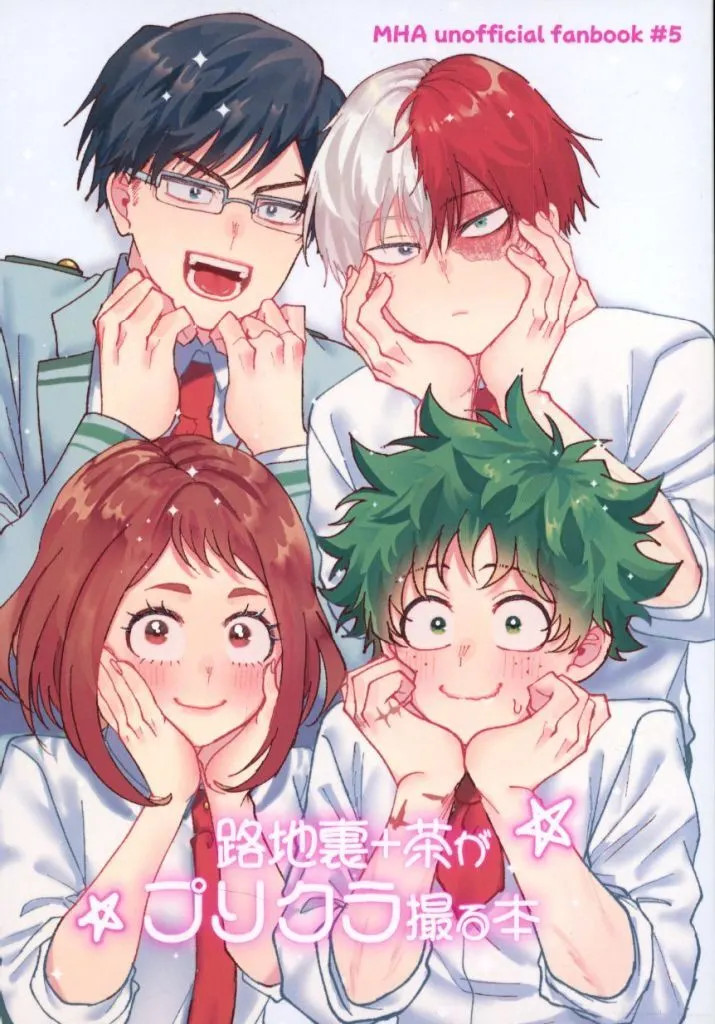 Cabina da tè My Hero Academia Doujinshi BL Back Alley A5 32p usata [età 13+]