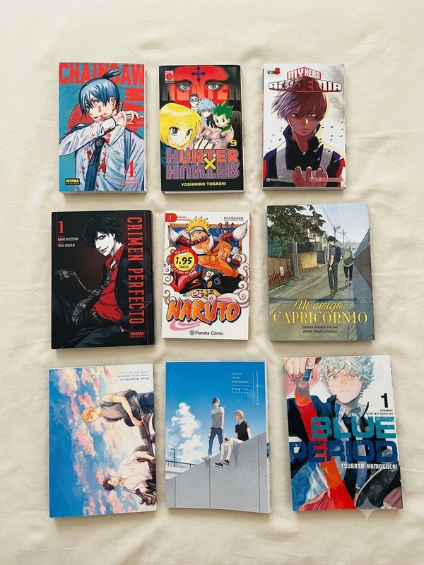 Lote de mangas variados en perfecto estado