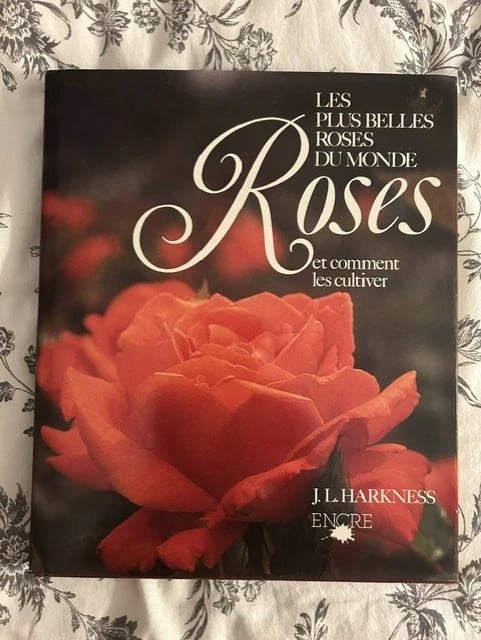 Les plus belles roses du monde et comment les cultiver