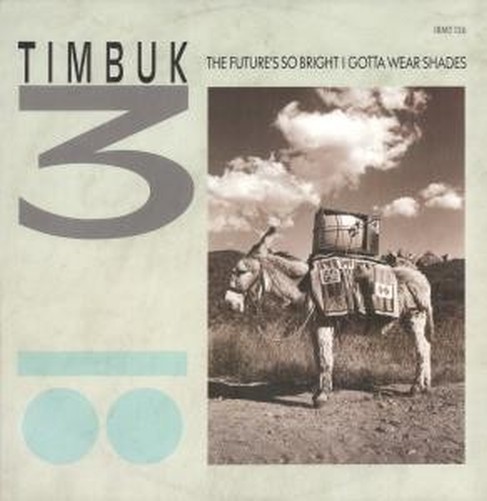 Timbuk 3 Future's So Bright I Gotta Wear Shades 12" vinyl UK Irs 1986 in pic
