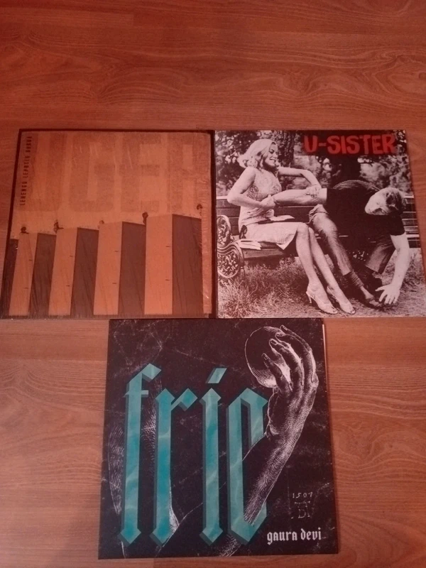 Lote vinilos punk