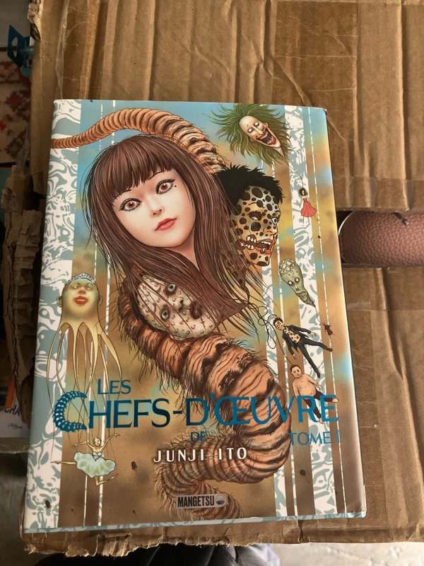 Livres les chefs-d’œuvre tome 1
