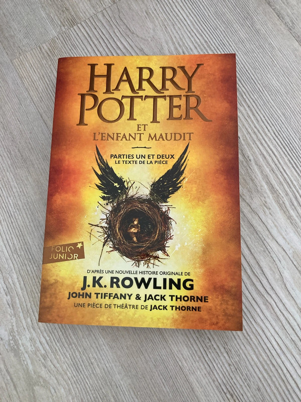 livre harry potter et l'enfant maudit