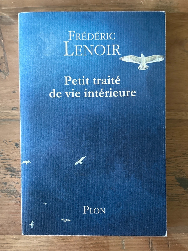 Petit traité de vie intérieur - Frédéric Lenoir