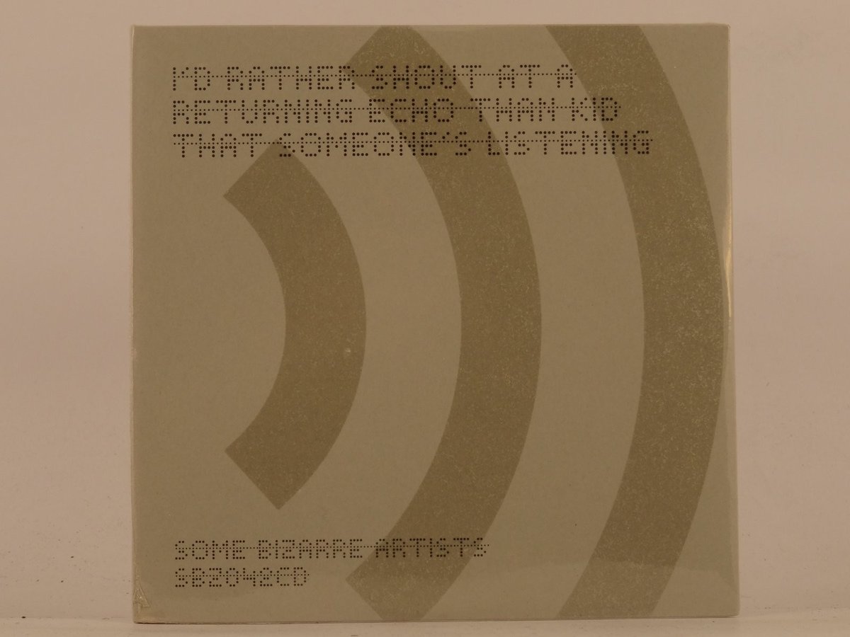 VARIOUS ARTISTS I'D RATHER SHOUT AT A RETURNING ECHO THAN KID THAT SOMEON (53) L