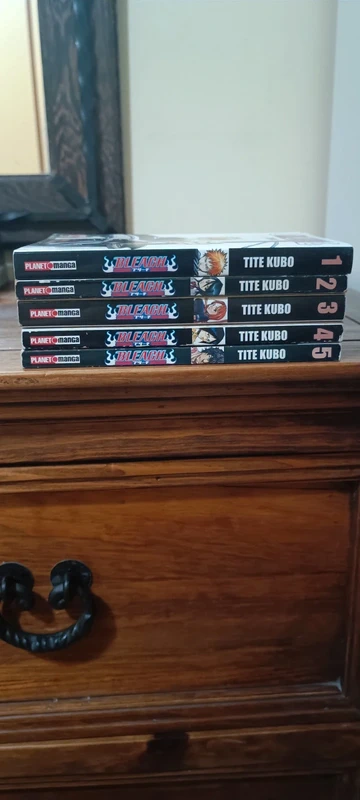 Bleach 1-5