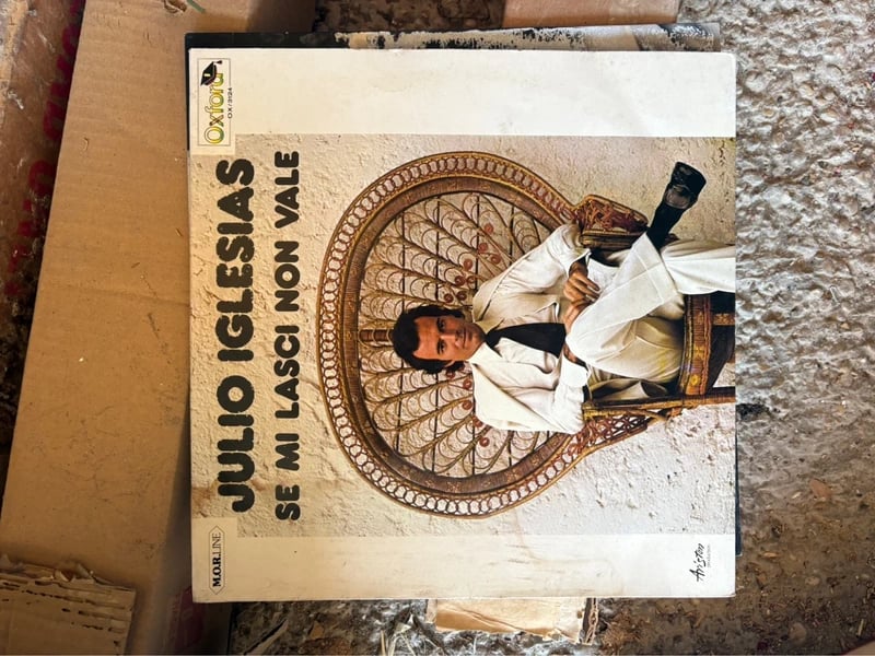 Vinile julio Iglesias