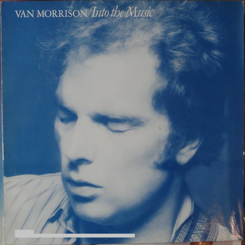 Van Morrison    Into The Music