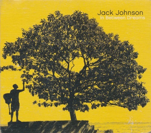 Jack Johnson In Between Dreams (1015) 14 Track CD Album plus Picture Sleeve Brus