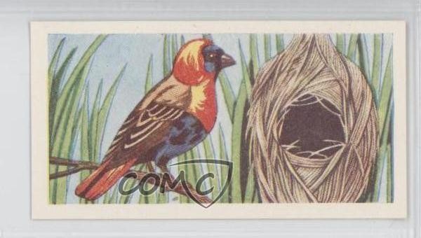 1961 Miranda Confezionatori Strange Creatures Edizione Alimentare Weaver Bird #26 1g9