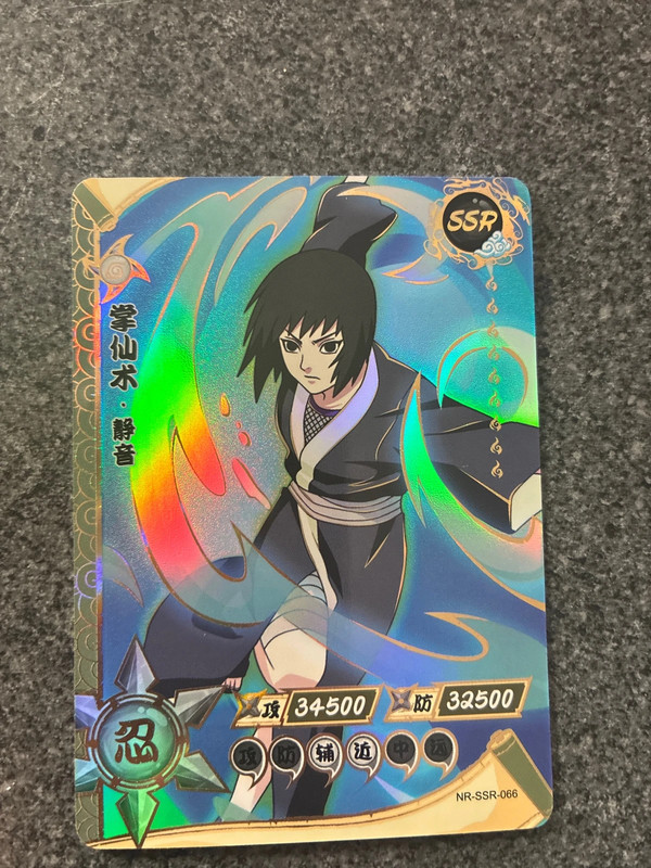 SSR 066