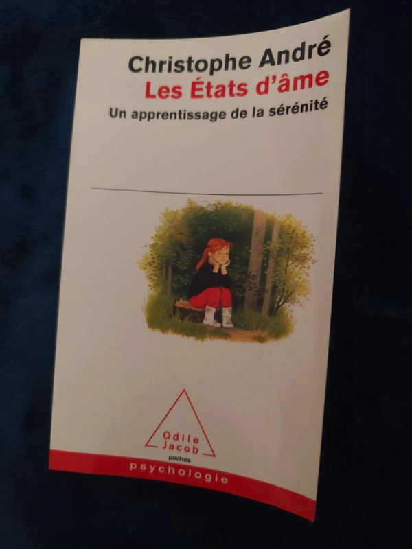 Livre les états d'âme un apprentissage de la sérénité