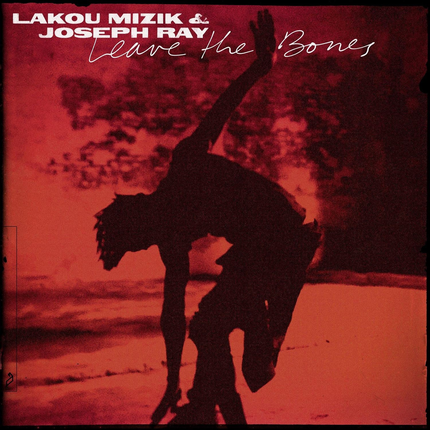 LAKOU & RAY,JOSEPH MIZIK - LEAVE THE BONES  2 VINYL LP NEUF