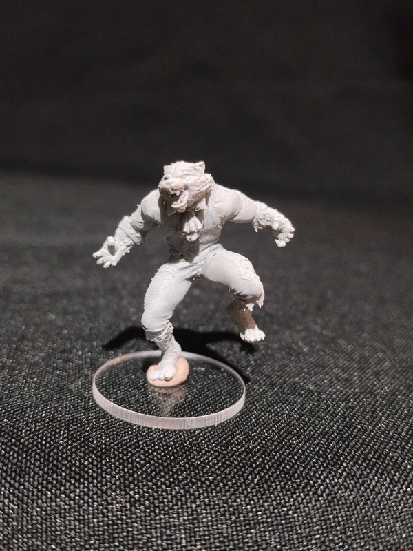 RPG Miniatures – D&D – Werewolf (Lycanthrope)
