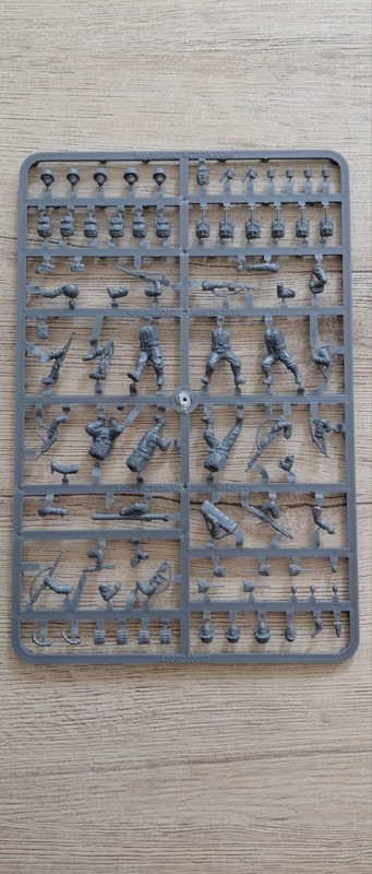 Grappe US Infantry (2018)